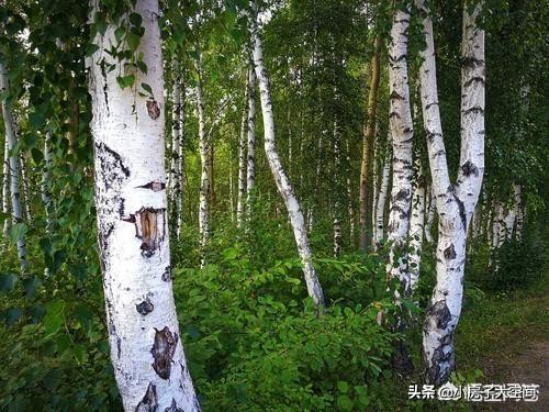 有人说中国人去了俄罗斯旅游后就后悔，为什么？