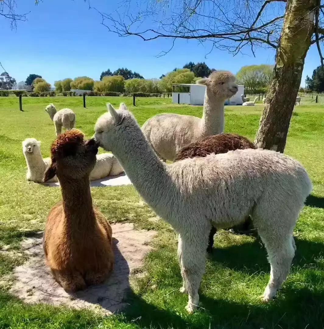 来这里认识世界全文,来这里认识世界完整版