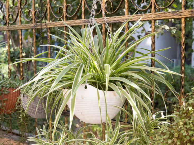 松下g95能拍什么视频,松下g95拍视频配什么镜头