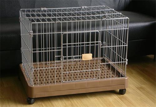 猫咪猫癣只使用伊来曲康管用吗,猫咪猫癣药膏可以直接涂吗