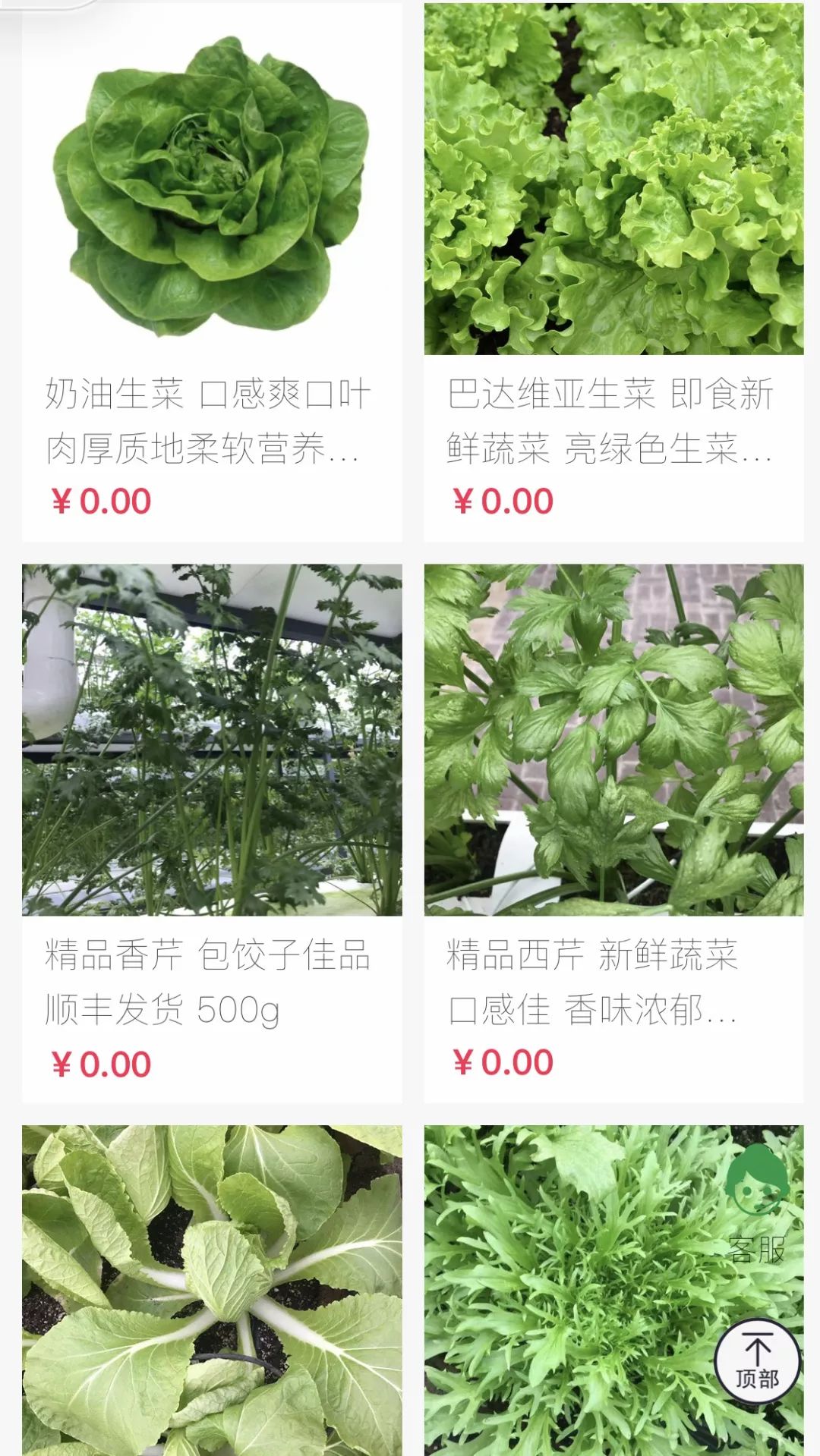 特别整理，长春线上「买菜」攻略