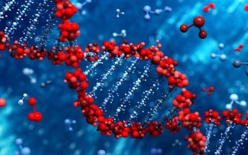 你遗传了父母身上哪些优缺点,你遗传了父母什么特质