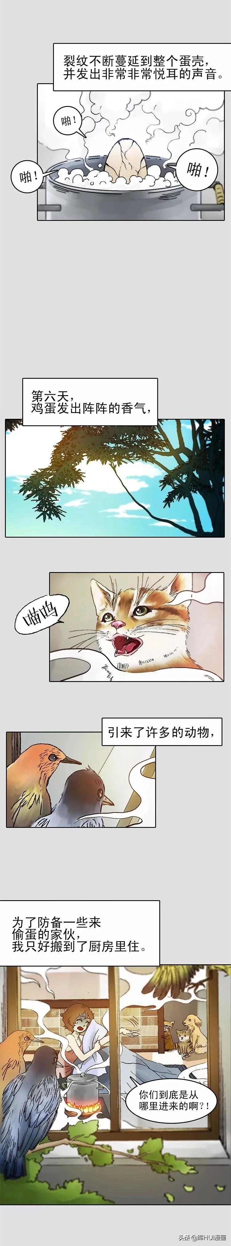鸡蛋漫画萌图,漫画鸡蛋