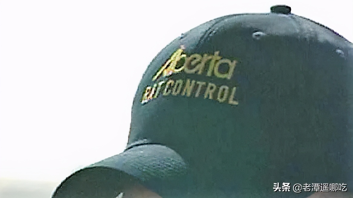 加拿大哪个城市老鼠最多,加拿大没有老鼠的地方