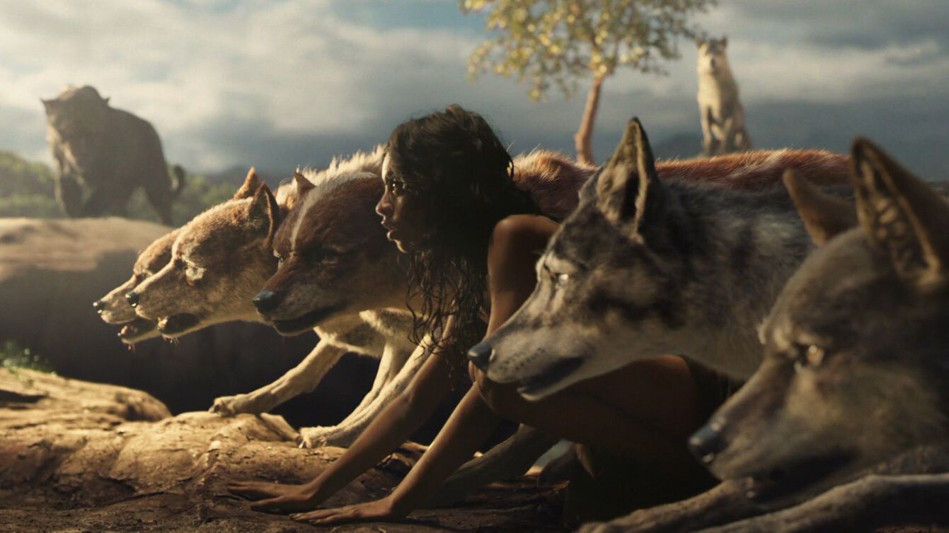 何鸿燊不赌为什么叫赌王,何鸿燊不赌为何称赌王