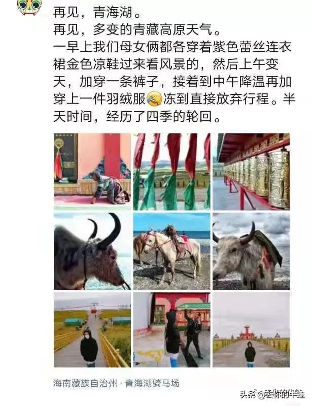 那些年带娃的旅游现场,带娃旅游崩溃的瞬间