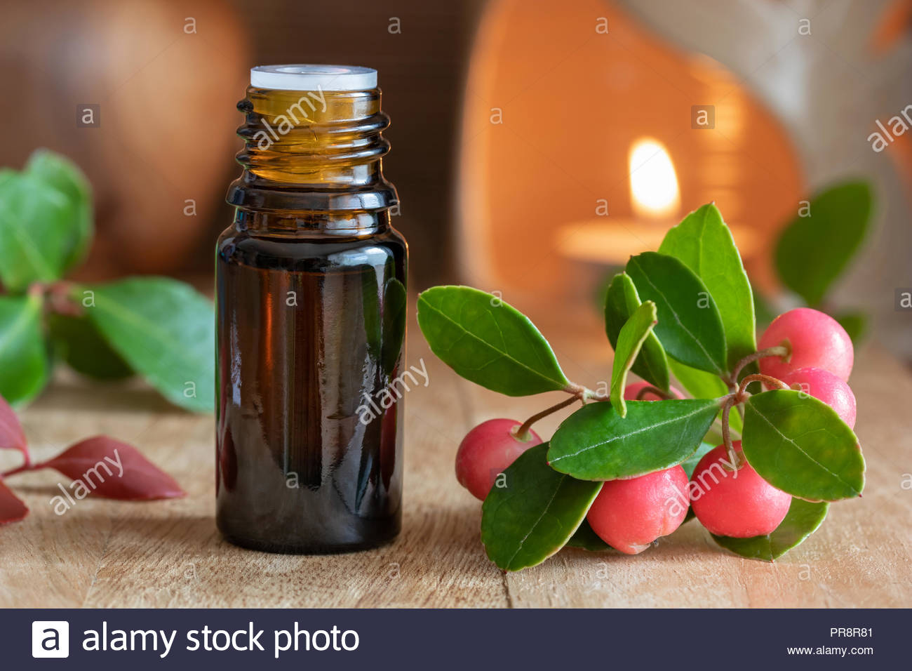 冬青精油的使用方法,冬青精油