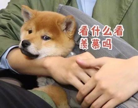 明星大撞脸你看哪个最像,明星撞脸对比