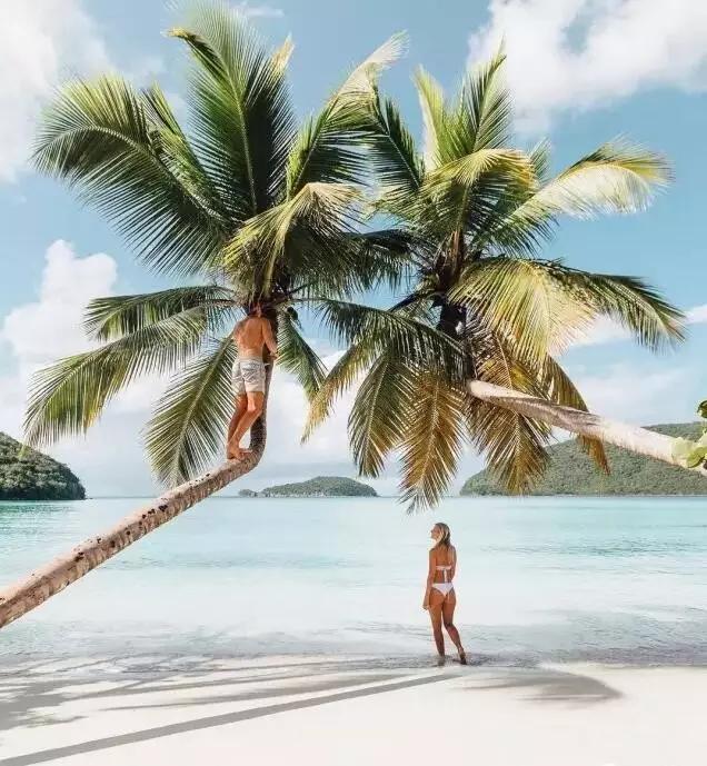 一张照片卖6000块,一张相片卖六千