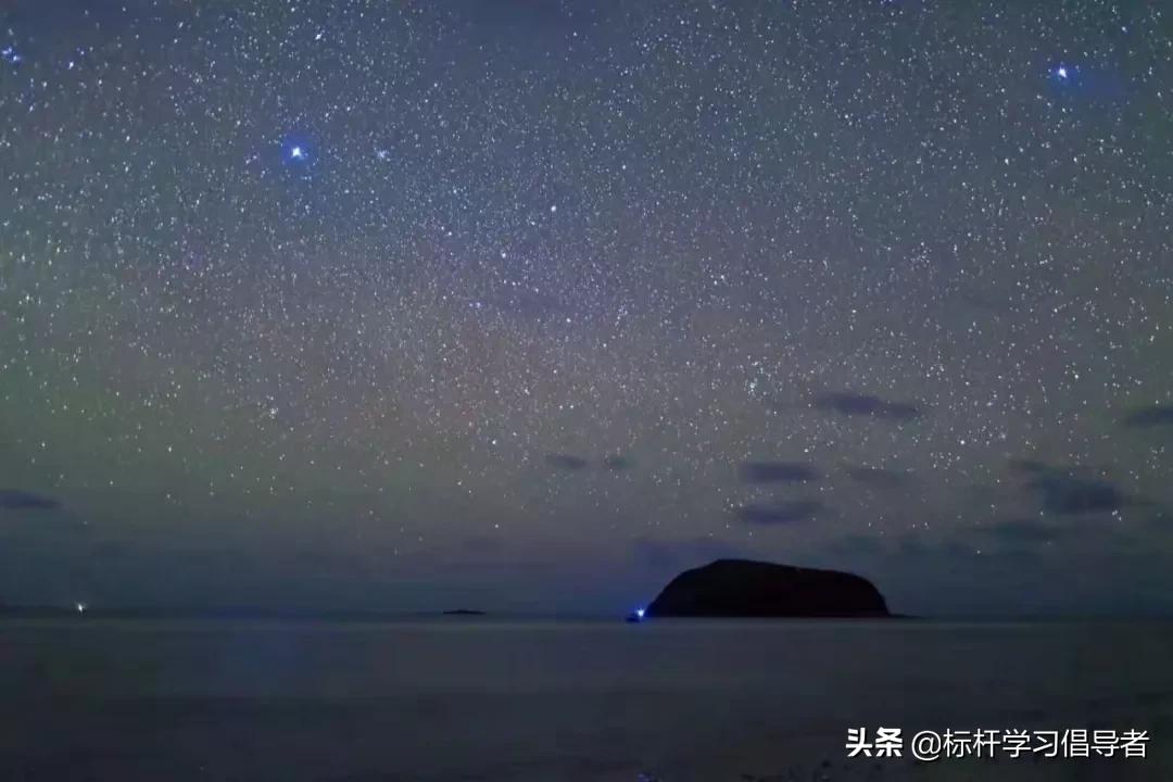 华为海外员工一人一厨一狗,一人一厨一狗这就是华为精神