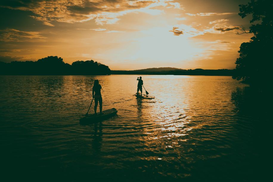 85度泡绿茶,85度水温泡绿茶的好处