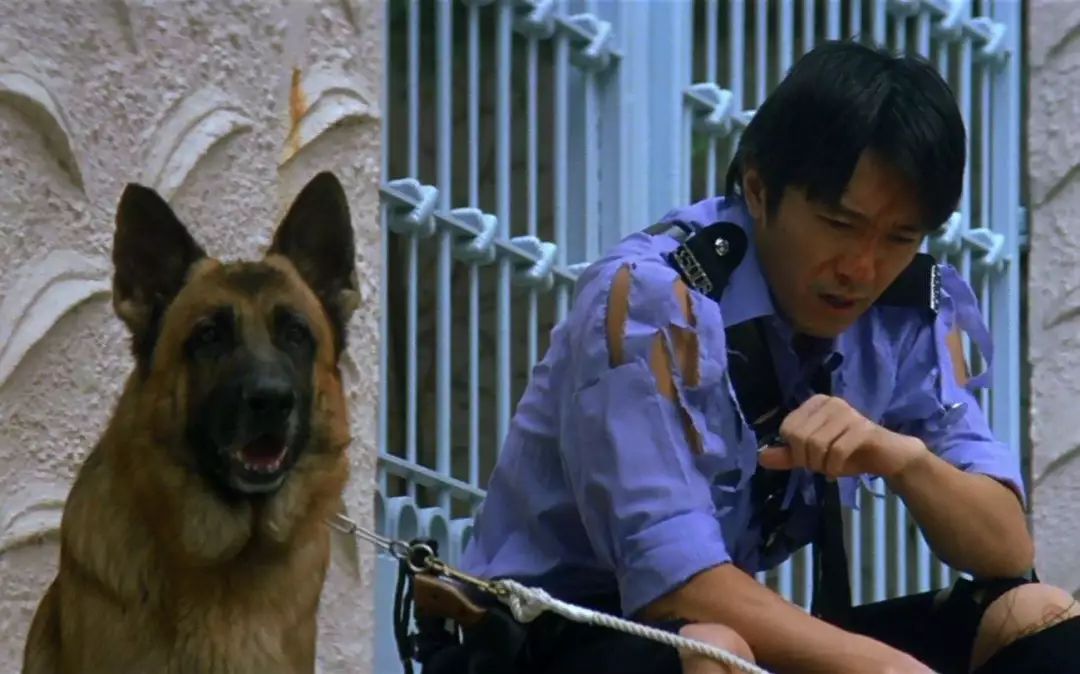 曾是知名导演，如今甘做演员，周星驰电影里的配角个个身手不凡