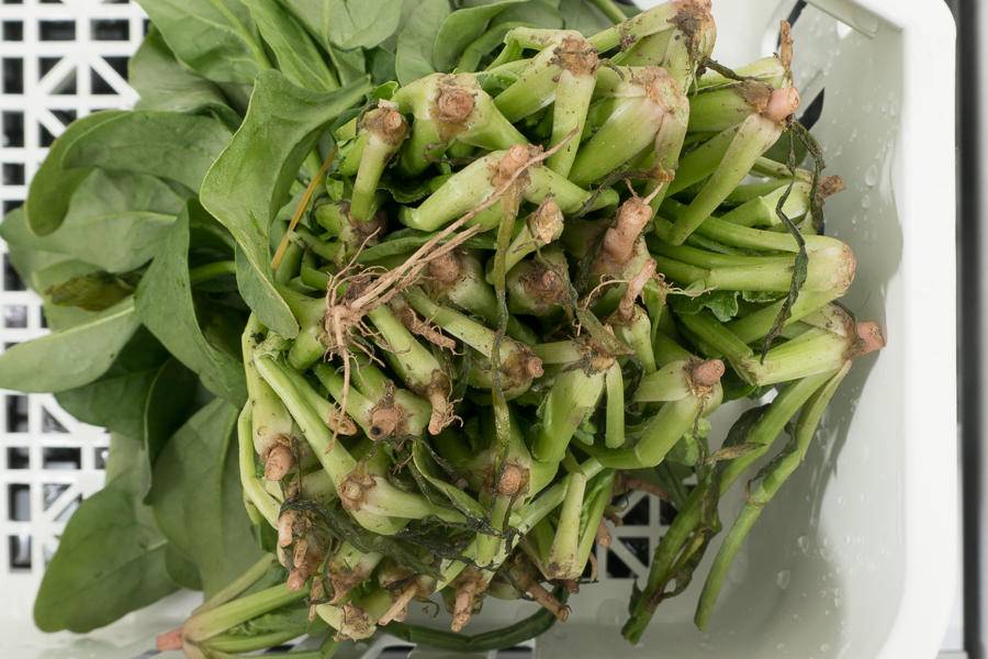 西门子16件套洗碗机和方太v6,水槽洗碗机怎么样好不好用