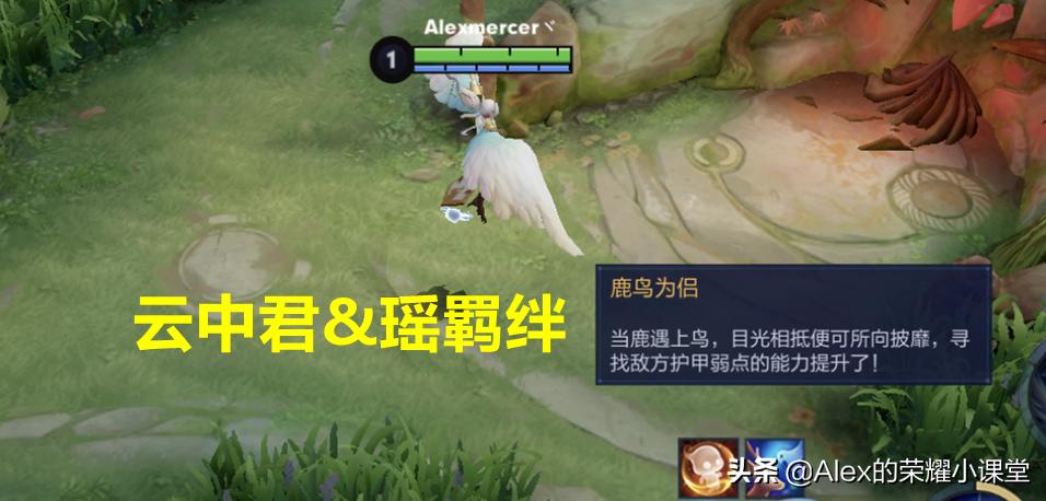 王者荣耀羁绊buff在哪看,王者荣耀英雄组合特殊buff