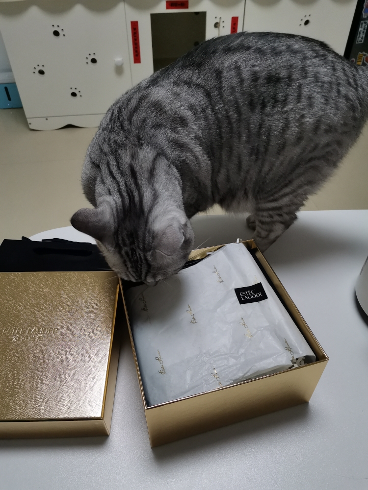 雅诗兰黛小棕瓶紧致精华,雅诗兰黛小棕瓶精华适合肤质