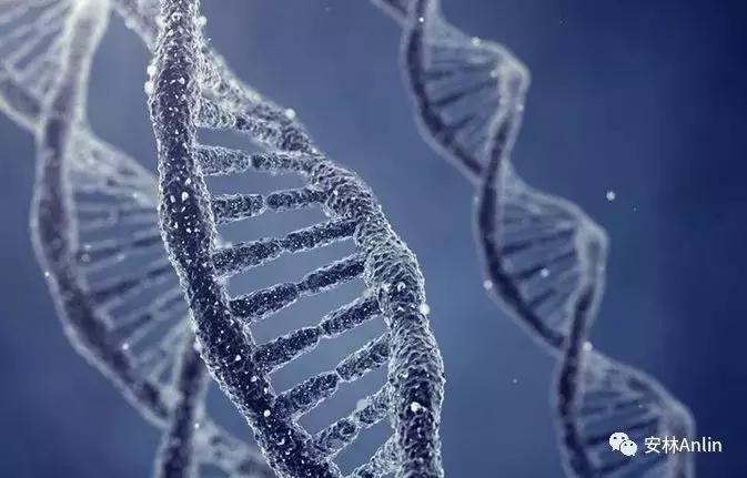 问道学堂课程,问道学堂