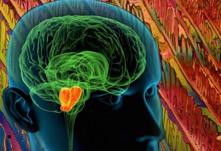 手术治疗精神分裂症断根,通过手术治疗精神分裂症病例