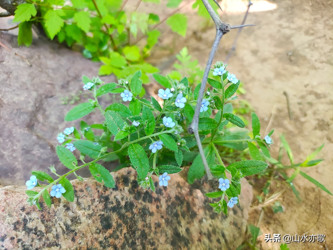 石家庄鹿泉的绝佳去处,鹿泉安静的地方