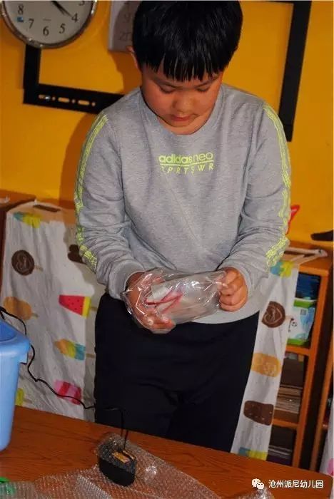 生命教育孵蛋,生命教育课程孵小鸡