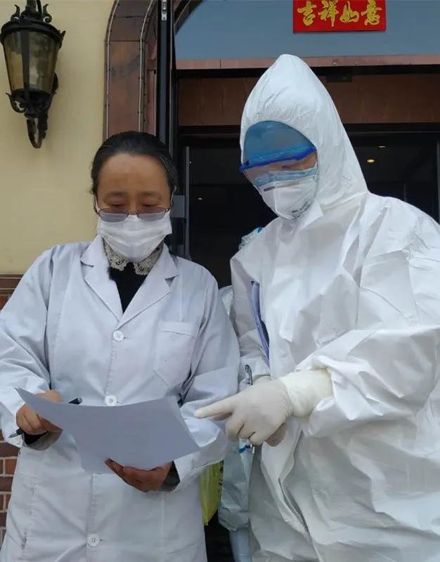 美丽迎春花开了,迎春花盛开的绝美春日盛景