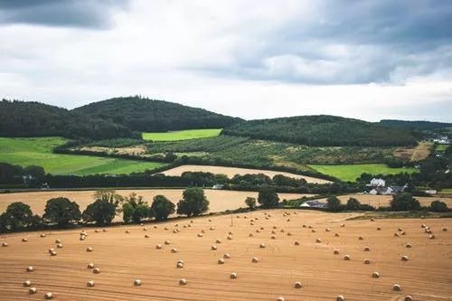 英国旅行签可以免签入境的国家,欧洲落地签免签的旅游国家