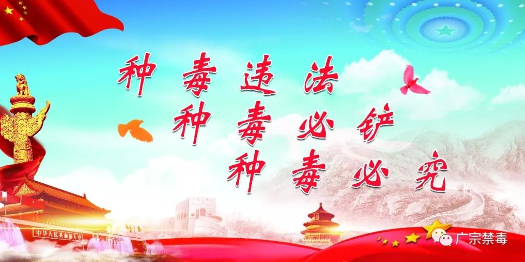 速看！这款“精选绿茶”里的猫腻你应该知道！