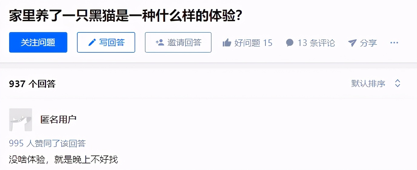 谁说黑猫不能带来好运,为什么都说黑猫不吉利