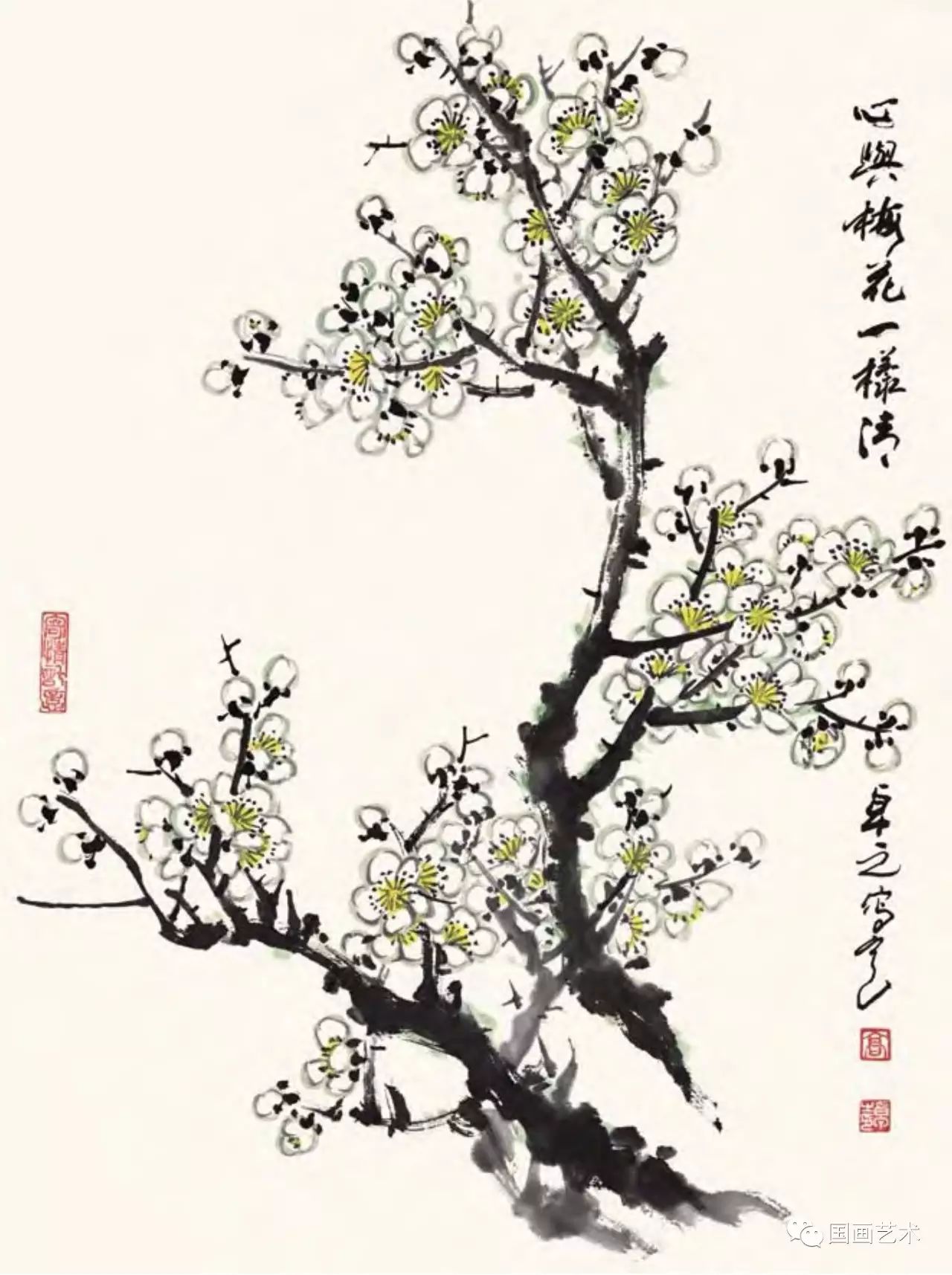 图文教程梅花,国画梅花的画法视频