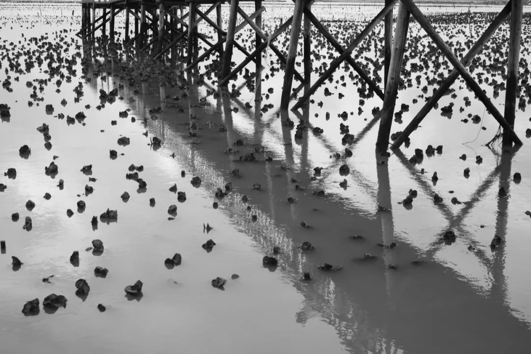 中国蚝哪里好吃,吃蚝必选之地