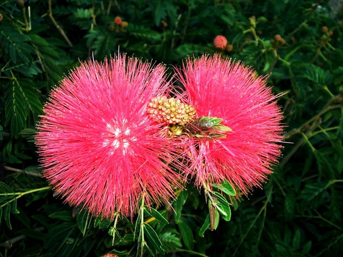 如何防止身边人嫉妒你,被人嫉妒了害你怎么办