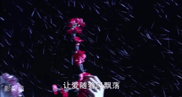 热巴古装舞蹈刘诗诗,热巴刘诗诗红毯展民族风韵