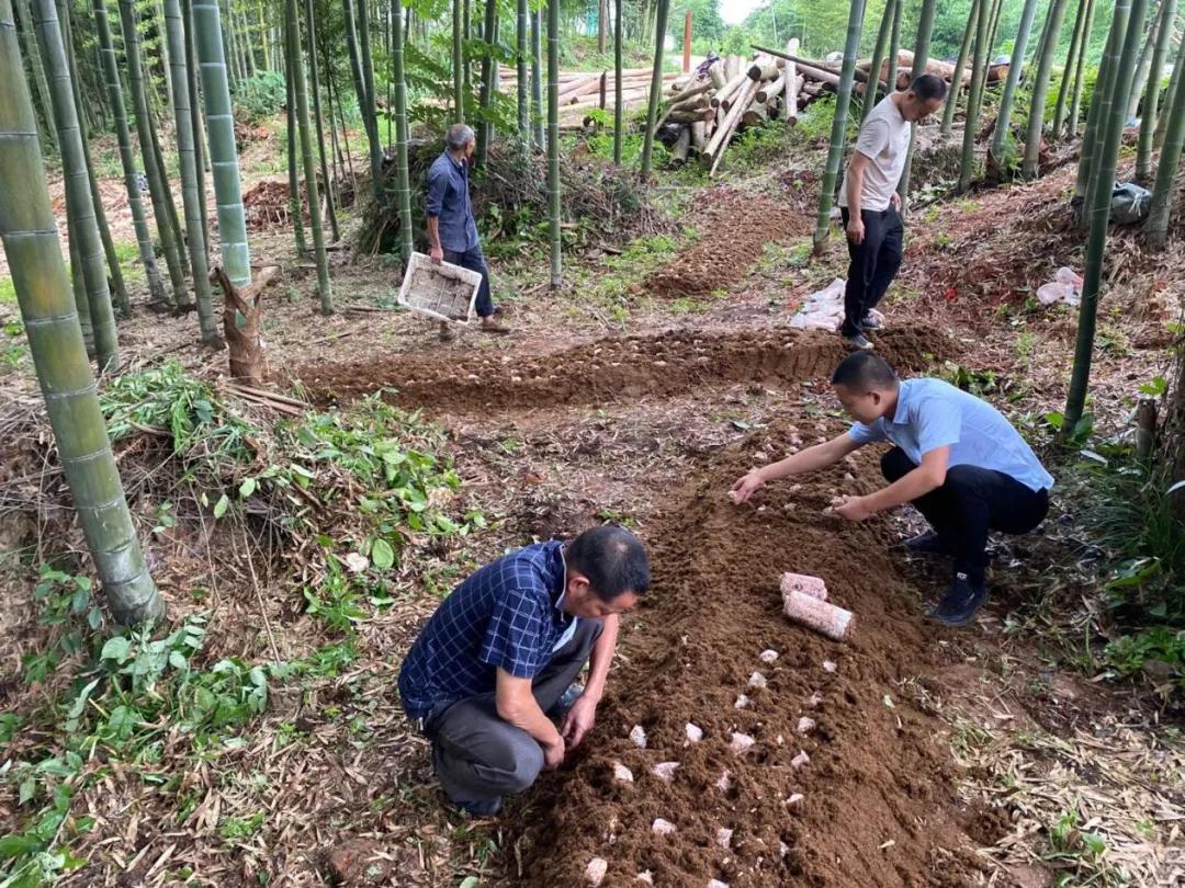 一封特殊的中秋家书,中秋家书三行诗