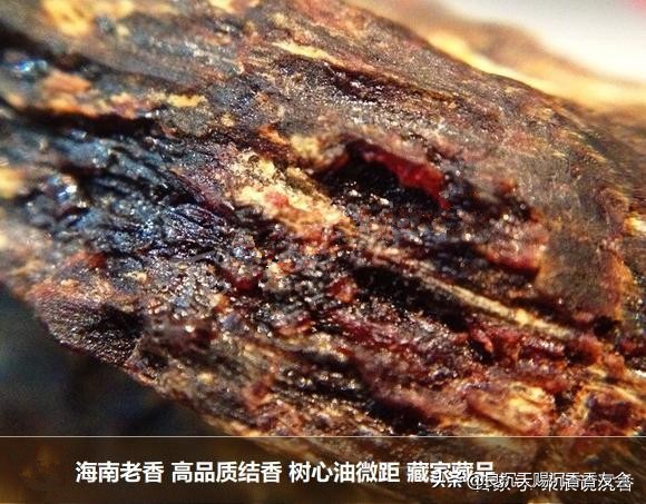 海南沉香特征图解,海南红土沉香味道和特征