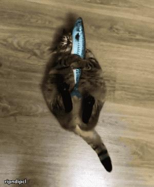 手冲咖啡20g冲水比例多少,一杯手冲咖啡的咖啡含量是多少