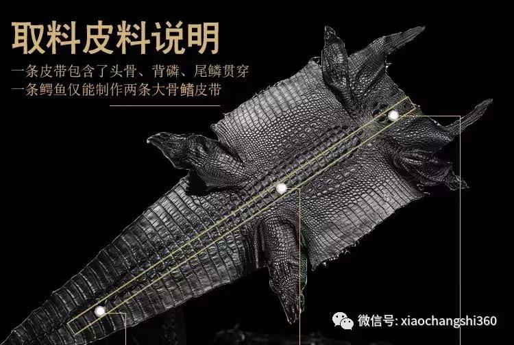 鳄鱼皮带正品捡漏,官方正品鳄鱼皮带