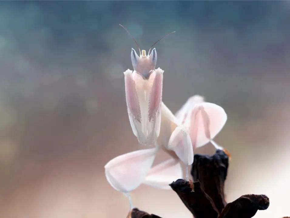 端午节省时省力的游玩攻略,端午去哪玩这份旅游攻略值得收藏
