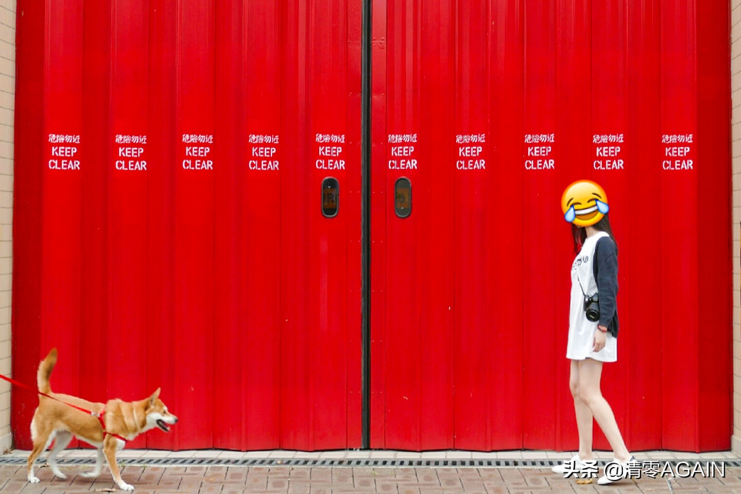 挖掘网红地x另类打卡挪亚方舟的文青路线