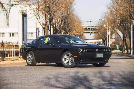 平行车出口前景,平行汽车出口需要什么