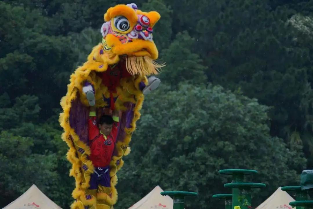 广州番禺沙头汀根龙狮团,番禺沙头龙狮团视频