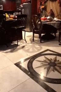 搞笑gif趣图你喜欢女神还是女汉子,搞笑gif趣图妹子健身辛苦吗