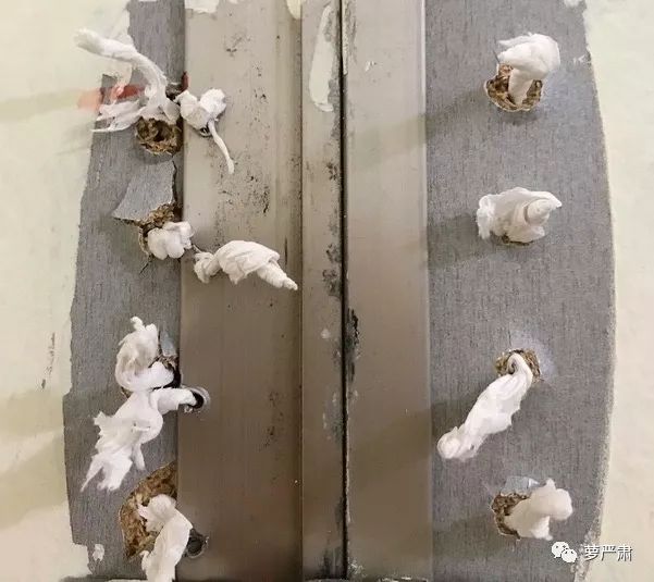 鍙楀鑹轰汉,鍙楀鐨勫コ鑹轰汉