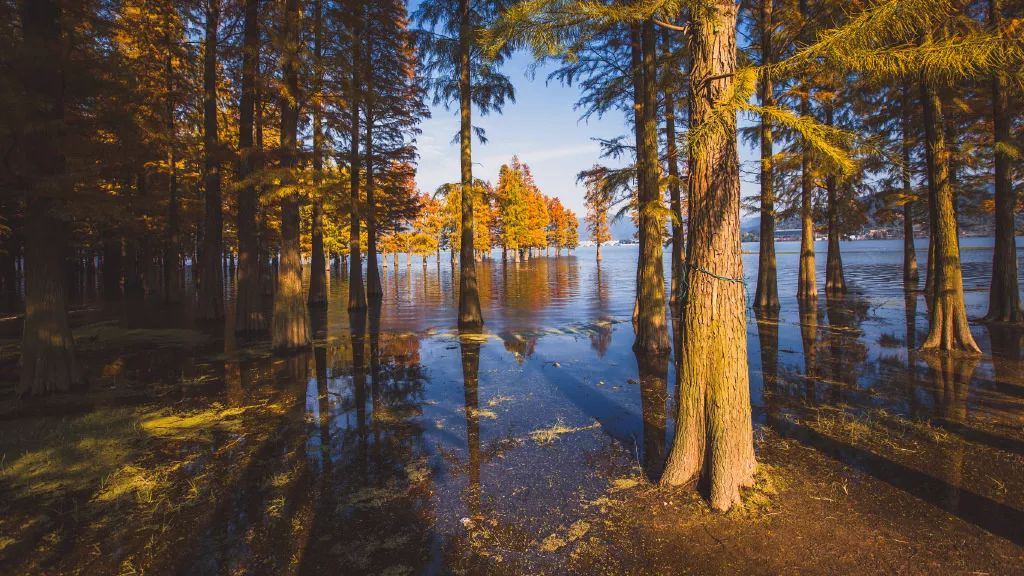 周末休闲好去处这些地方不能错过,7月初浙江好去处推荐