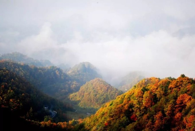 神农架旅游攻略最新,神农架秋天旅游攻略
