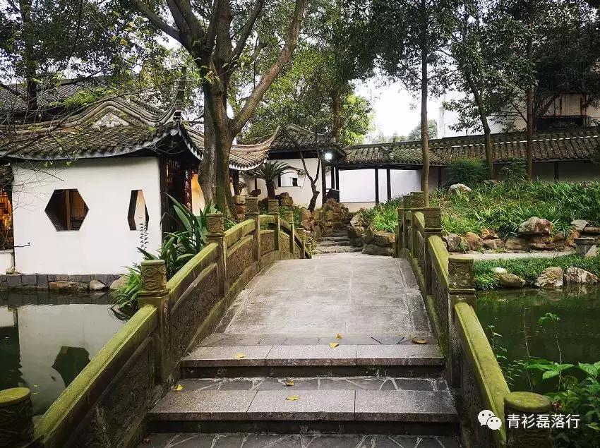 月满易园兰舟、秋莲华西钟楼：诗意生活就在身边，何须远走？