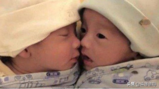 滚先生喜得龙凤胎，为孩子名字发愁，孩子爷爷出来解决了