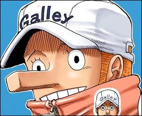 海贼王大熊衣服,海贼王剧场版redt恤