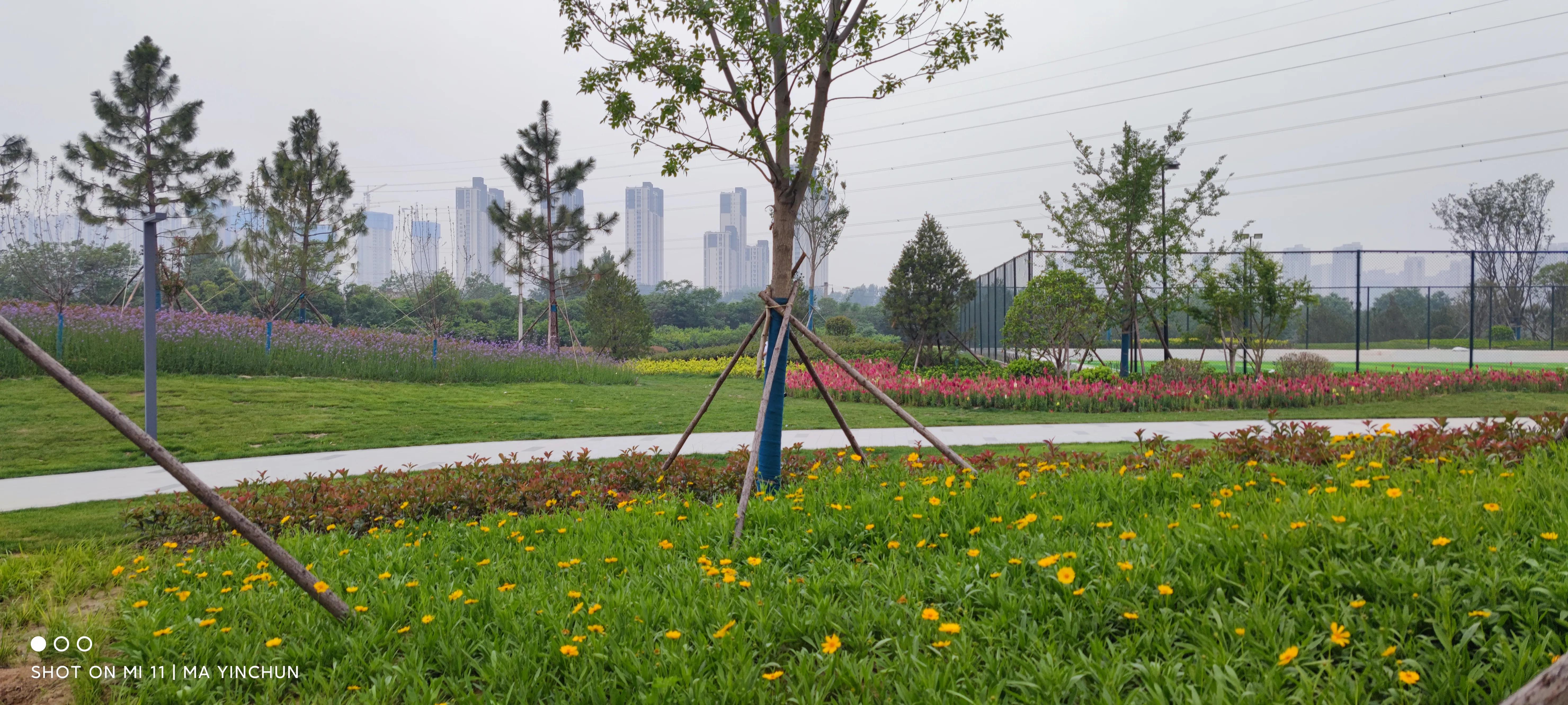 缁欏瀛愮幆淇濈邯蹇靛搧绀肩墿,缁欏皬鏈嬪弸鐨勪綋鑲插皬绀肩墿