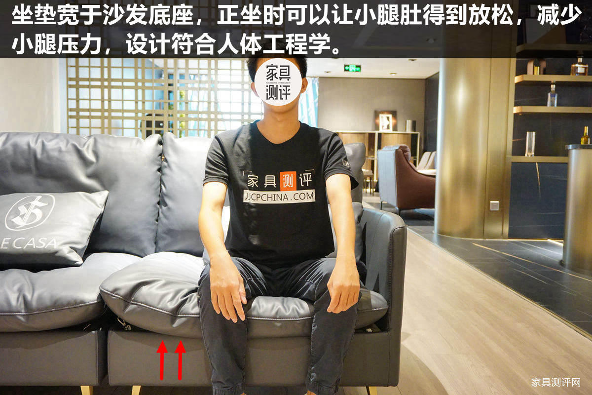 沙发经济实用型推荐,格调沙发排行榜