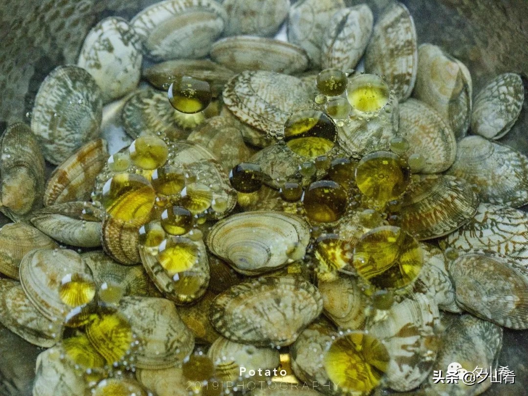 锡纸盒花甲粉的酱料制作,锡纸花甲粉搭配什么好做
