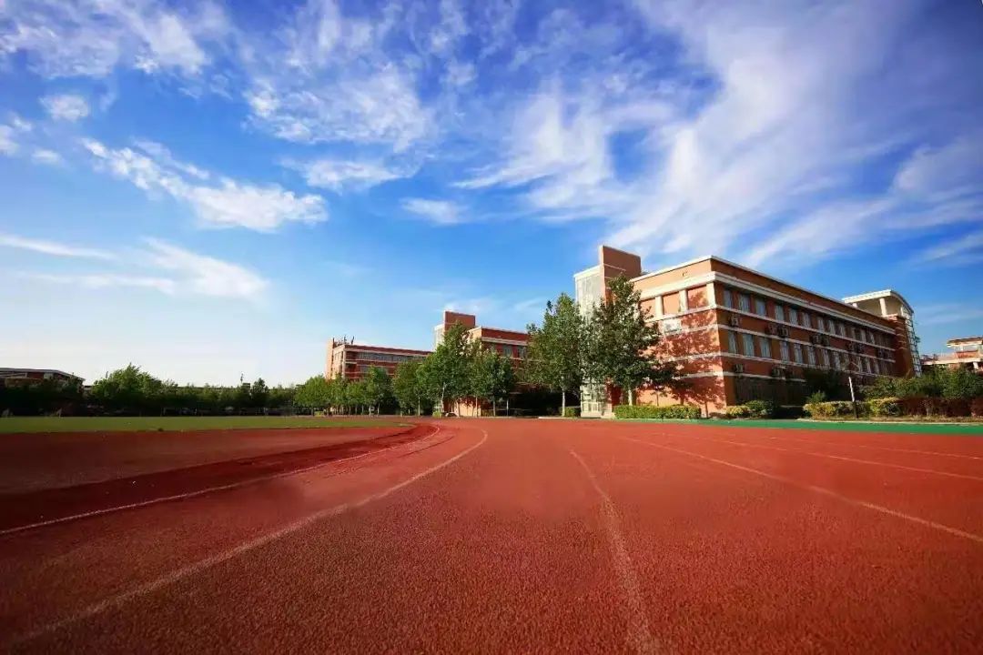 权威发布|北京科技大学天津学院2021年本科招生章程